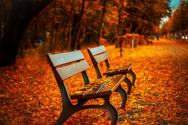 Digital Marketing in the Fall: 4 Basic Tips For Success